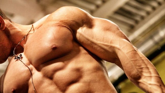 Efectos del Estanozolol: Todo lo que Necesitas Saber